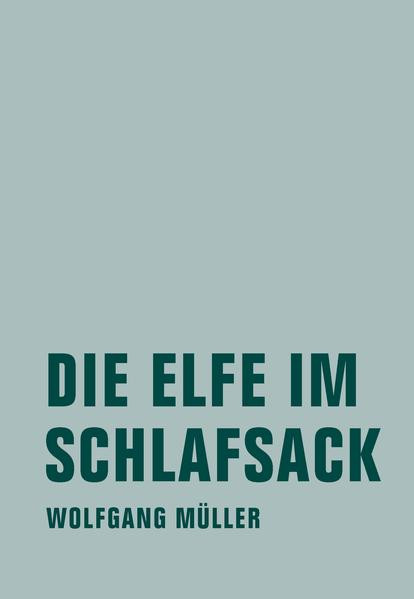 Die Elfe im Schlafsack / Neue Märchen und Fabeln aus Island