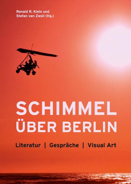 Schimmel über Berlin / Literatur | Gespräche | Visual Art