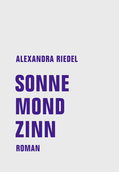 Sonne, Mond, Zinn / Roman