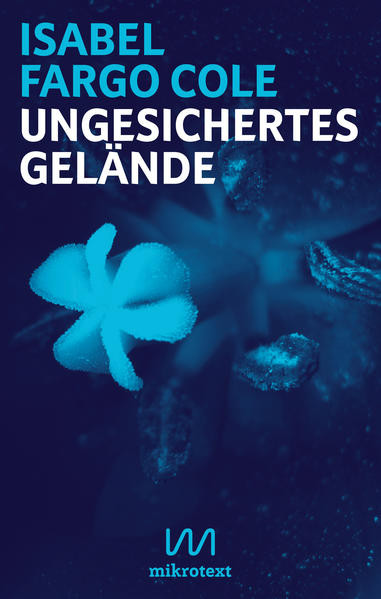 Ungesichertes Gelände / Liebesnovelle in Briefen